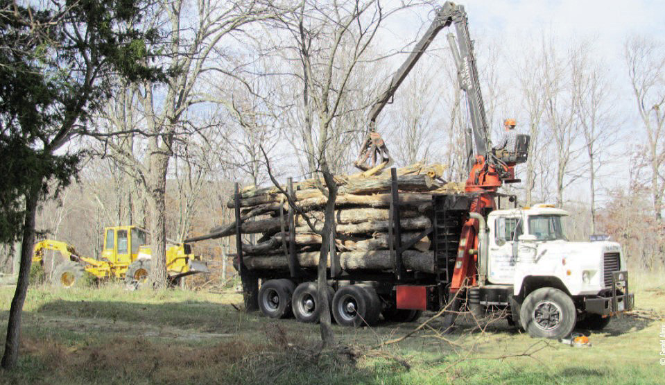 logging truck