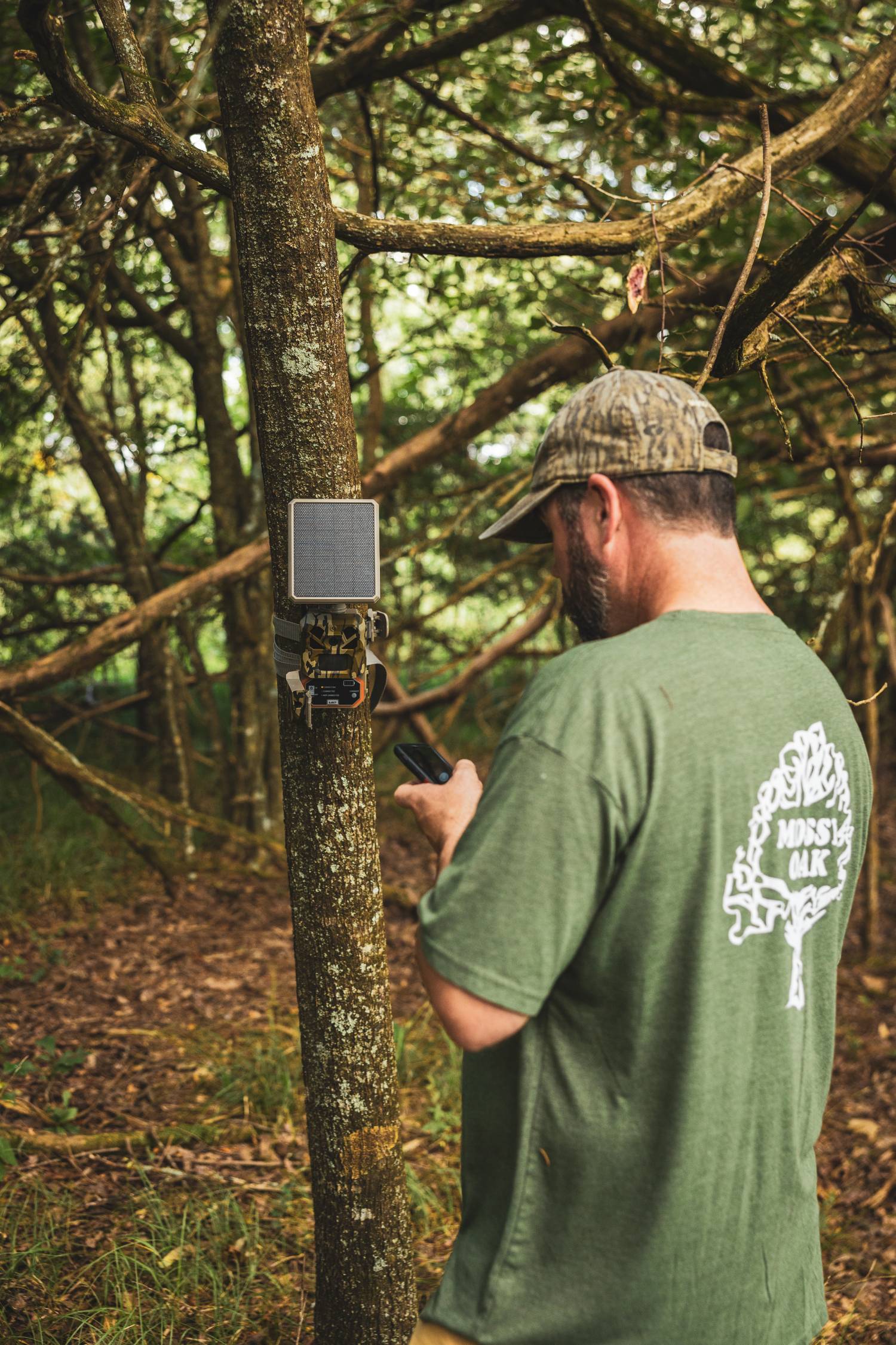 moultrie