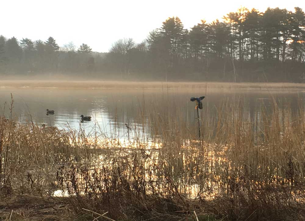 moving duck decoys