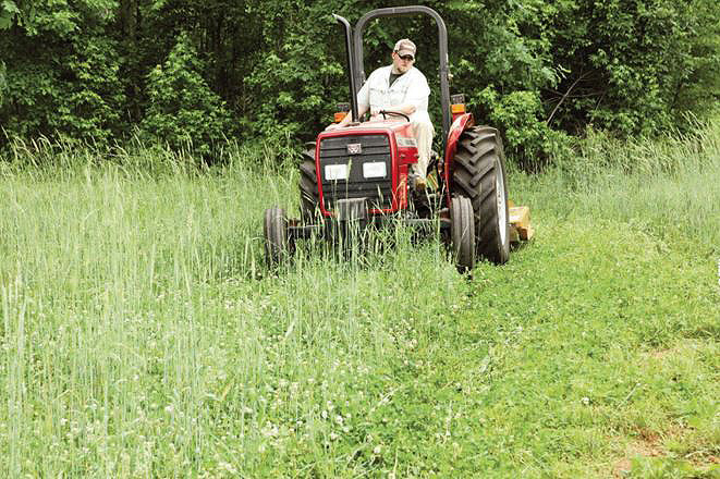 mowing clover