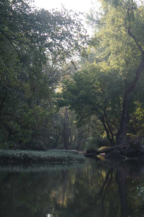 niangua river