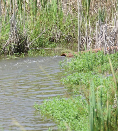 pond pipe