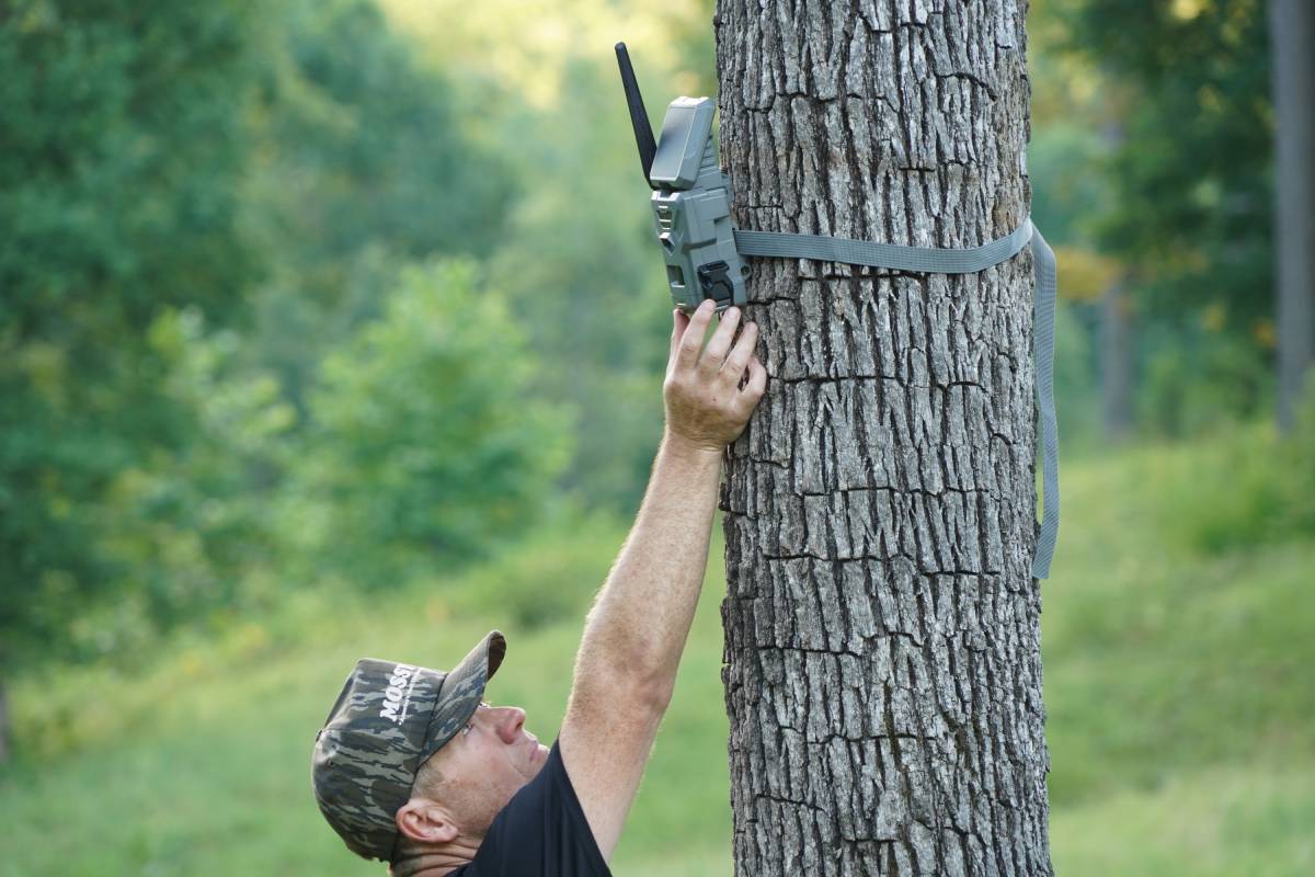 trail cameras