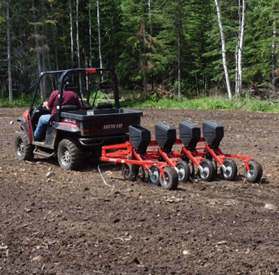 planting food plot