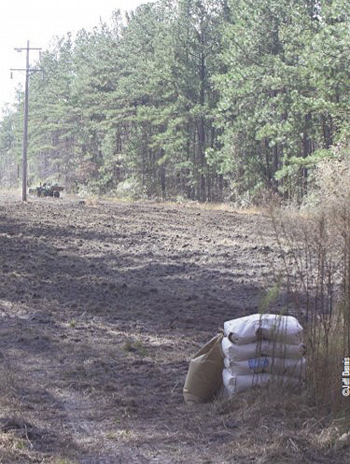 power line planting