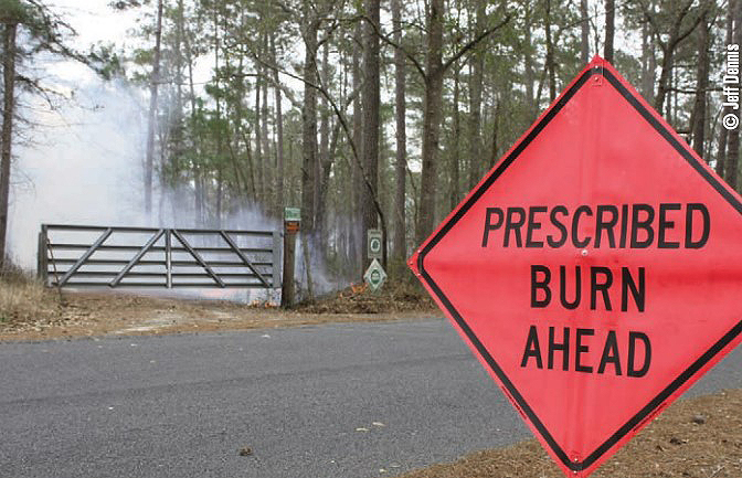 prescribed burn