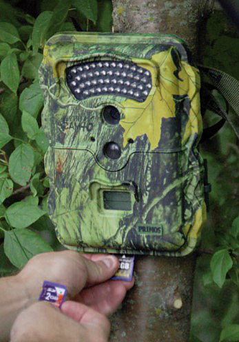 primos game camera