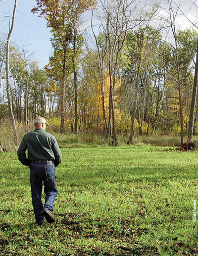 scouting tree stand location