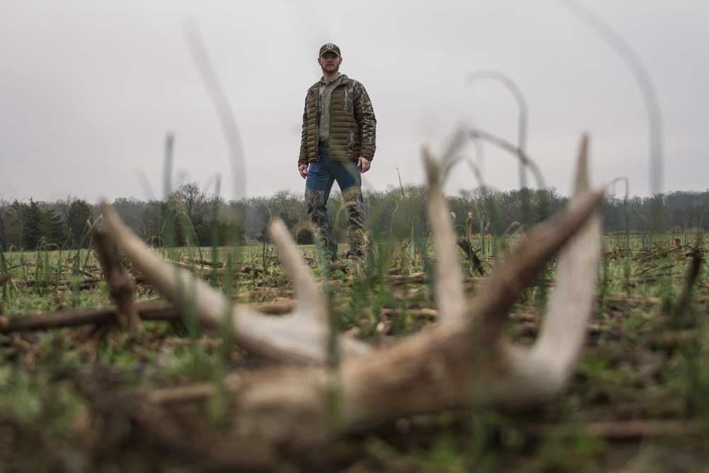 shed antlers