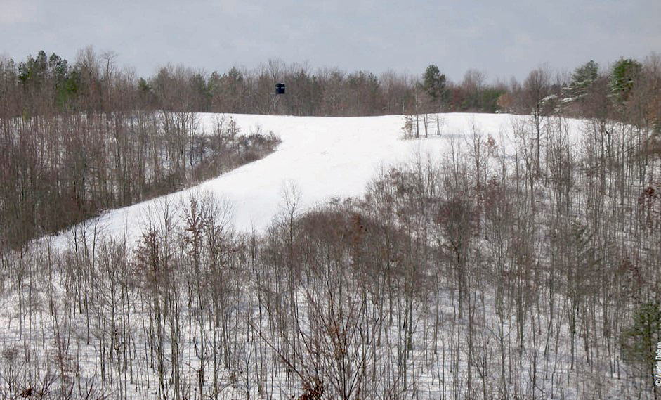 snow covered hunting land