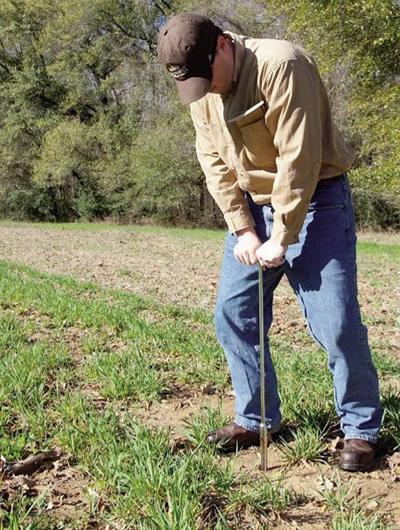 soil probing