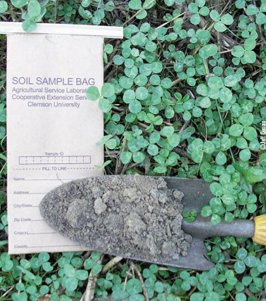 soil sample