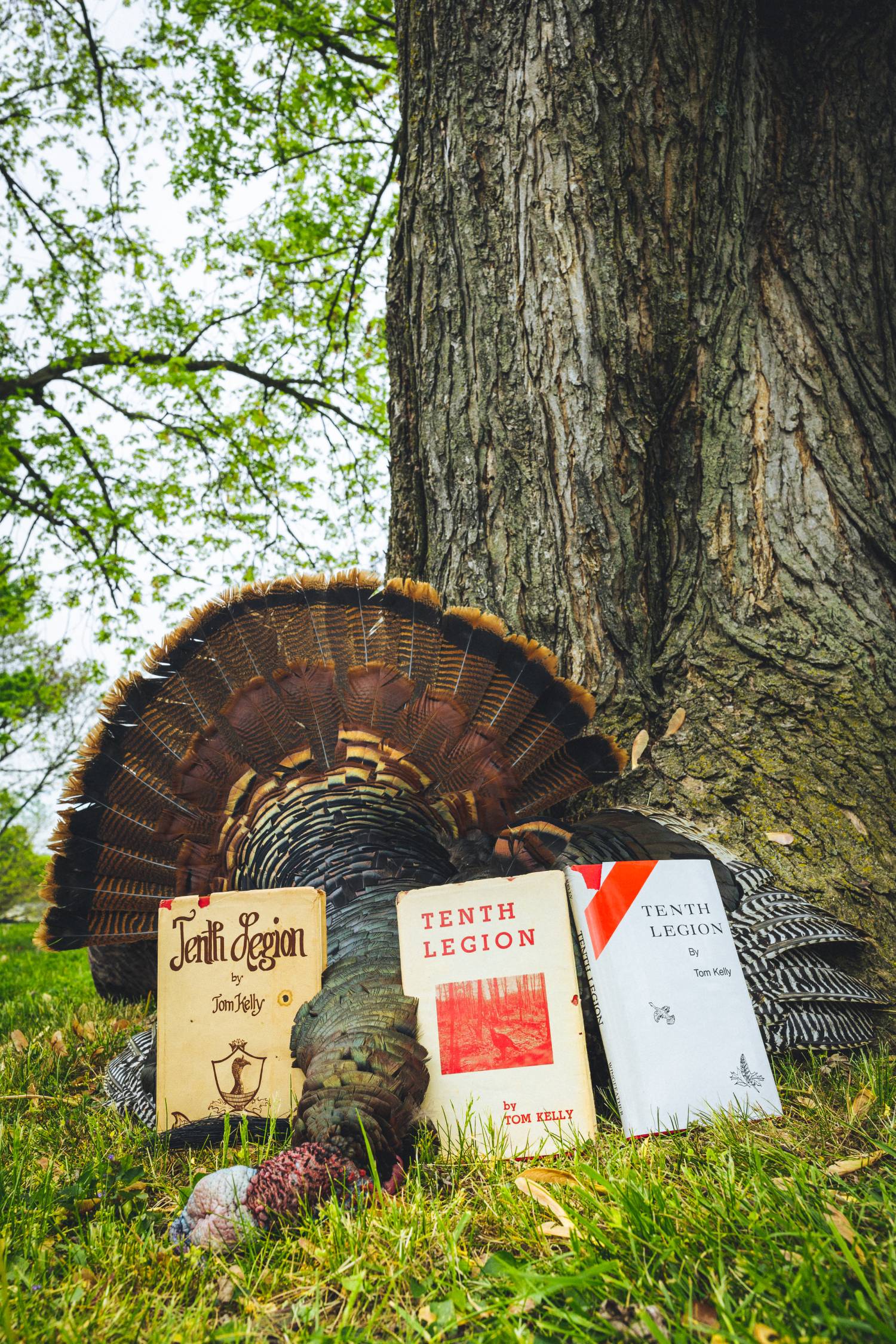 tom kelly tenth legion books