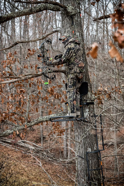 treestand hunter