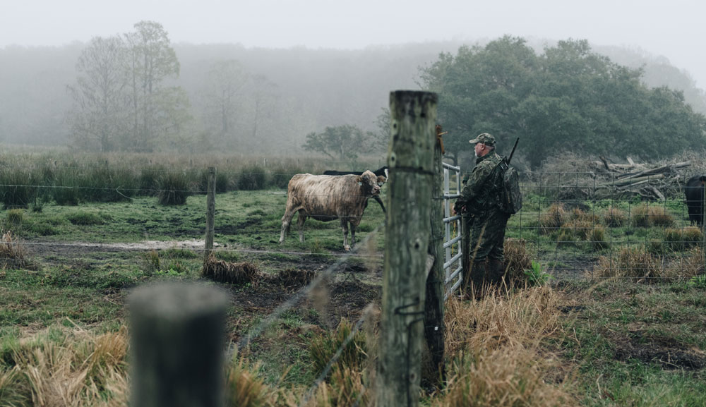 turkey hunting on a cattle farm