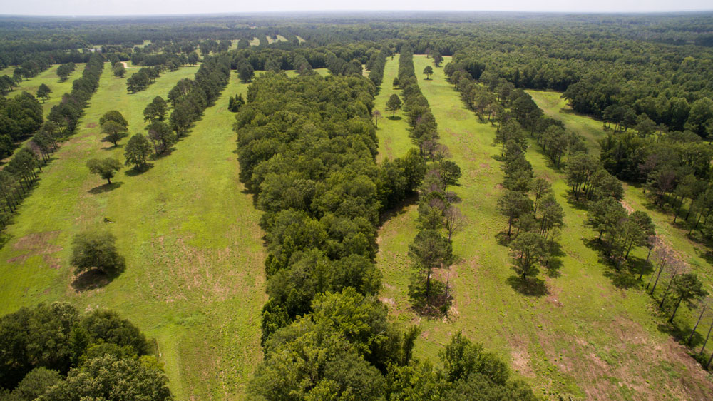 wildlife corridors