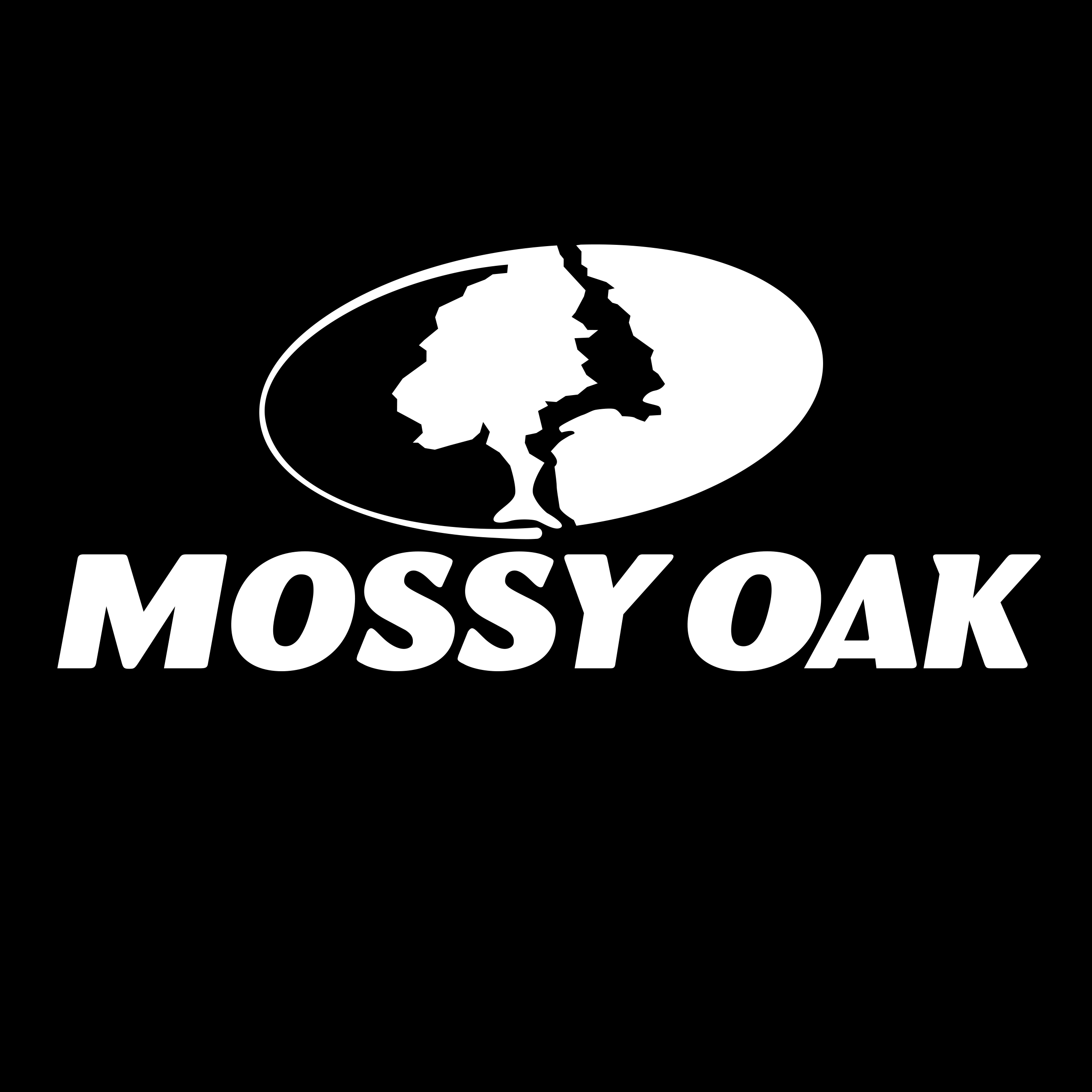 Mossy Oak Logo