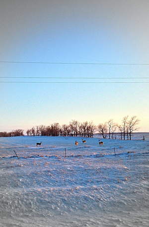Badlands2_ll