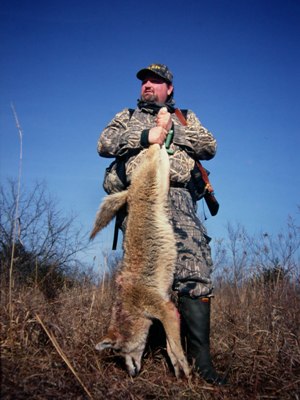 Woodsman3_ll