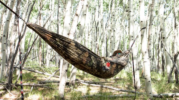 hammock