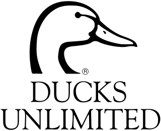 DU_logo