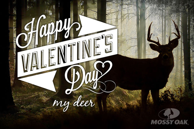 ValentinesDay_VDayDeer