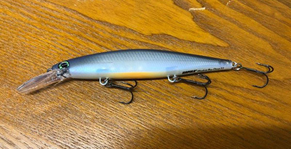 Rapala Shadow Jerkbait