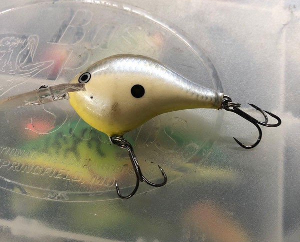 Rapala DT6 Crankbait