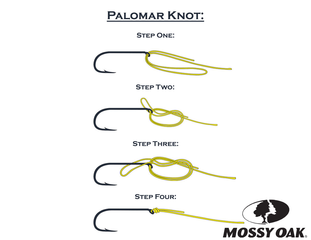 Palomar Knot