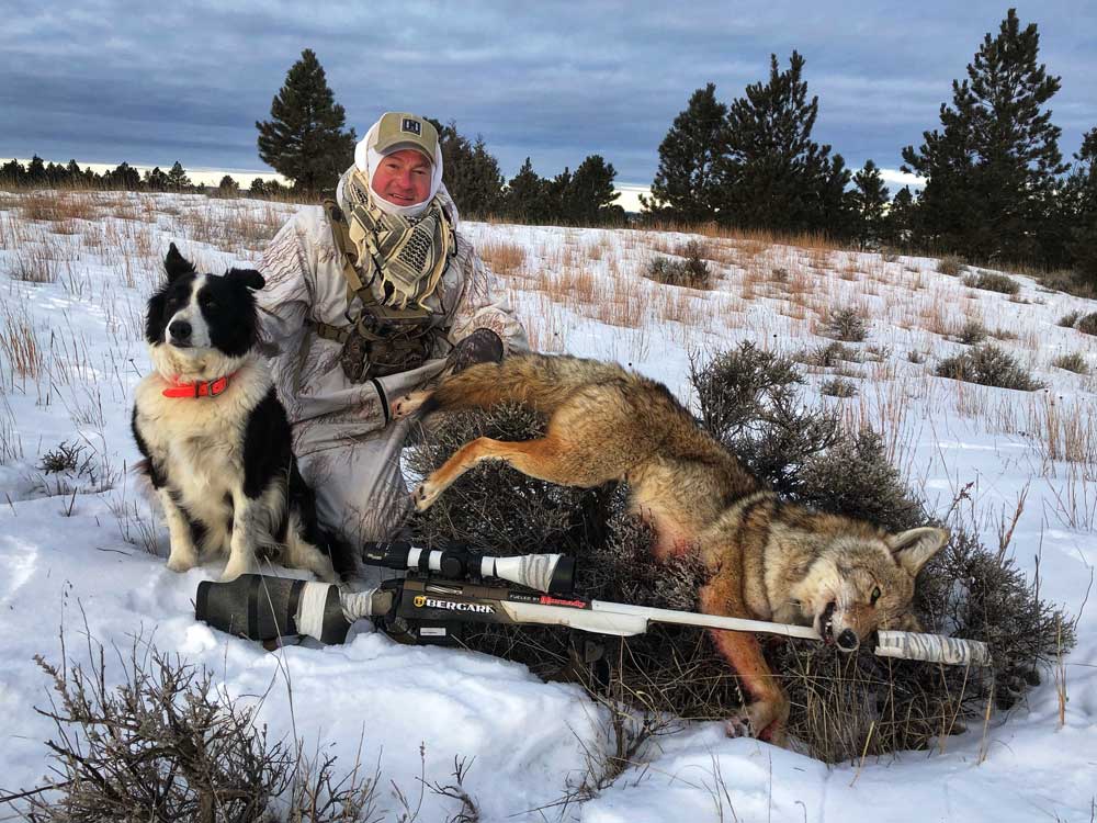 Mark Kayser coyote hunting with dogs