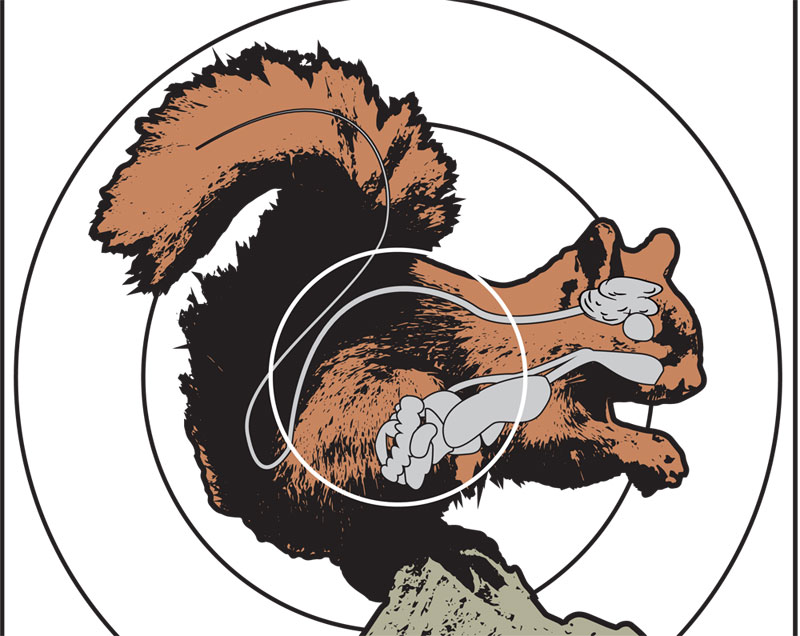 Squirrel Target Printable