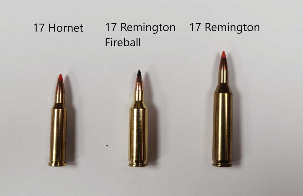 17 caliber bullets