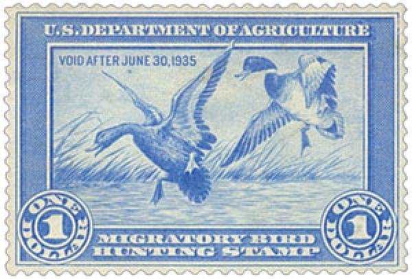 blue duck stamp