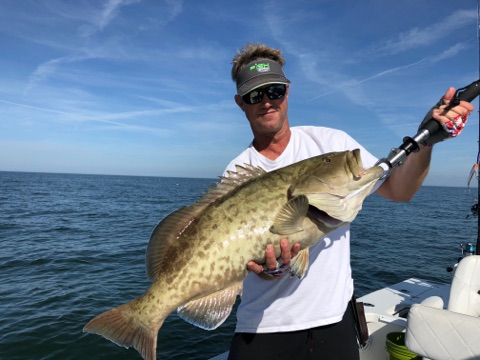 tampa bay