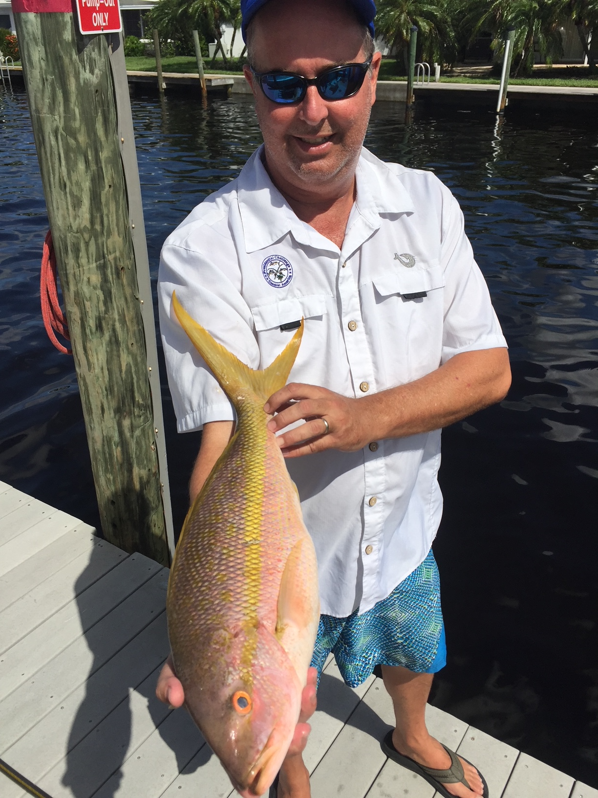 yellowtail