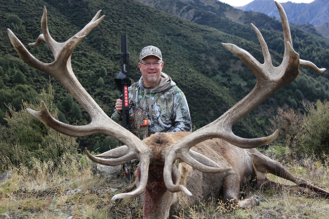 red deer stag New Zealand