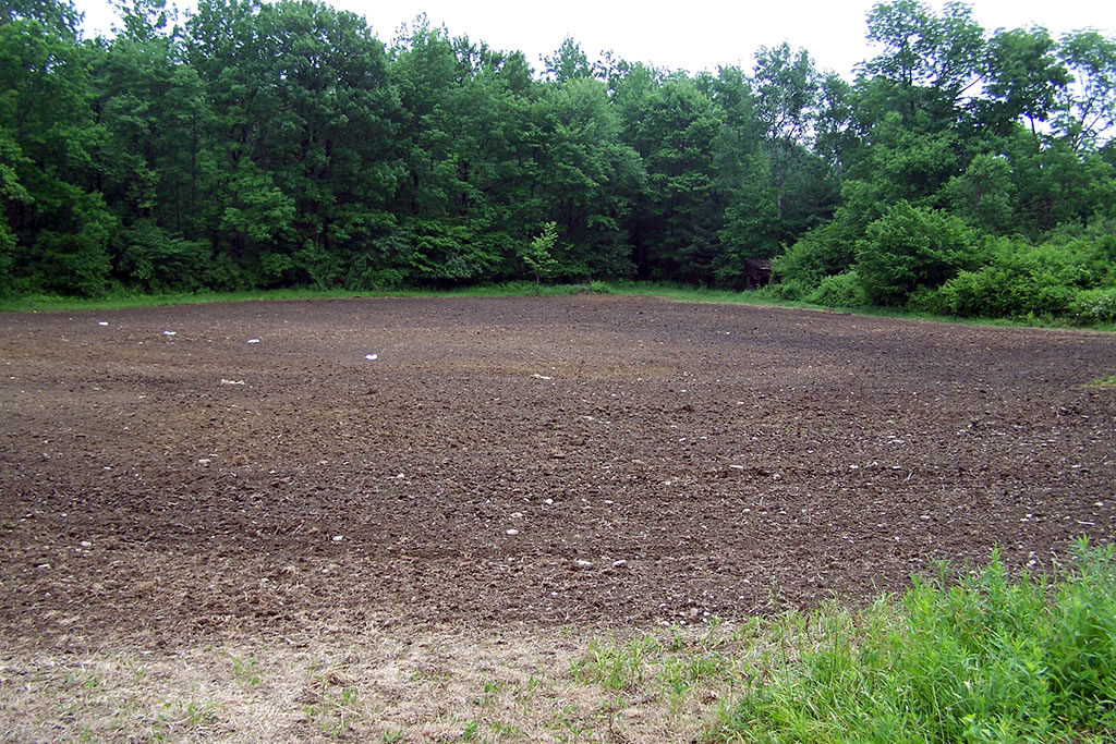 A food plot is ready to be cultiplacked in preparation for seeding
