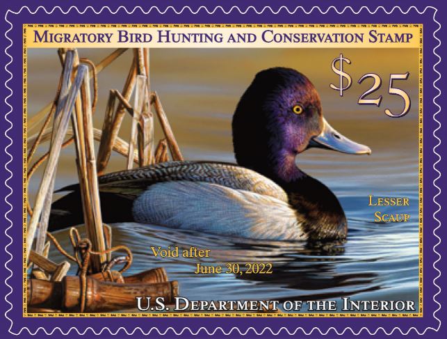 2021 2022 duck stamp