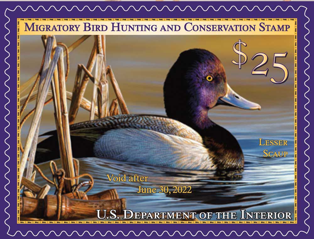 2021 2022 duck stamp