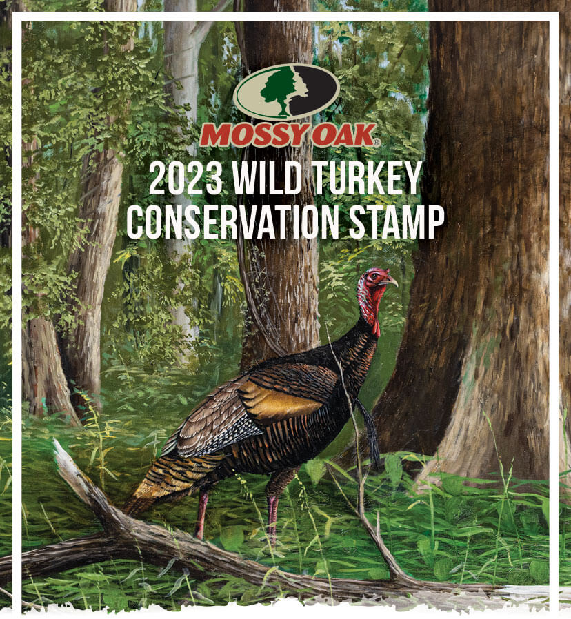 2023 Wild Turkey Conservation Stamp