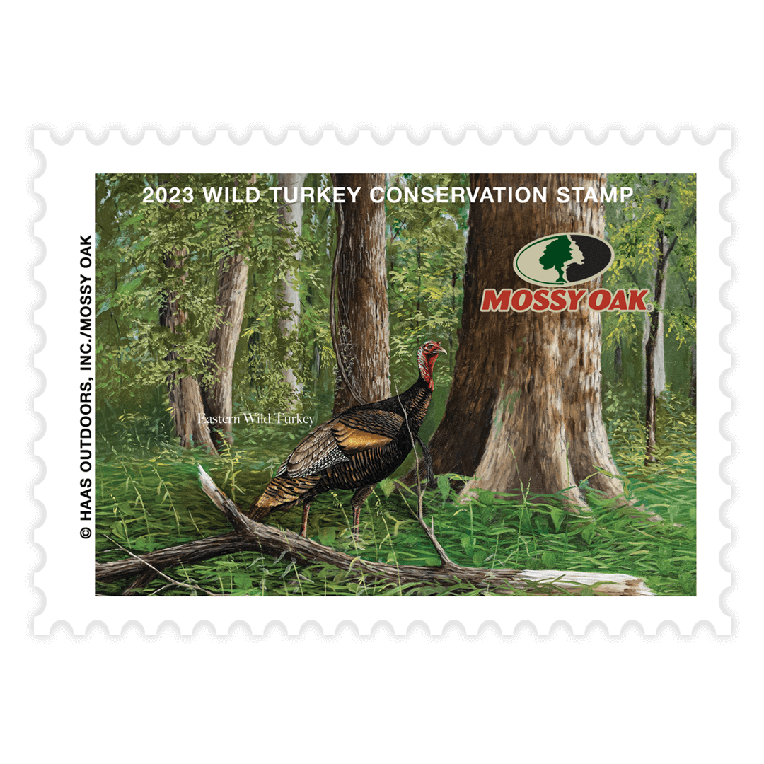 2023 turkey stamp