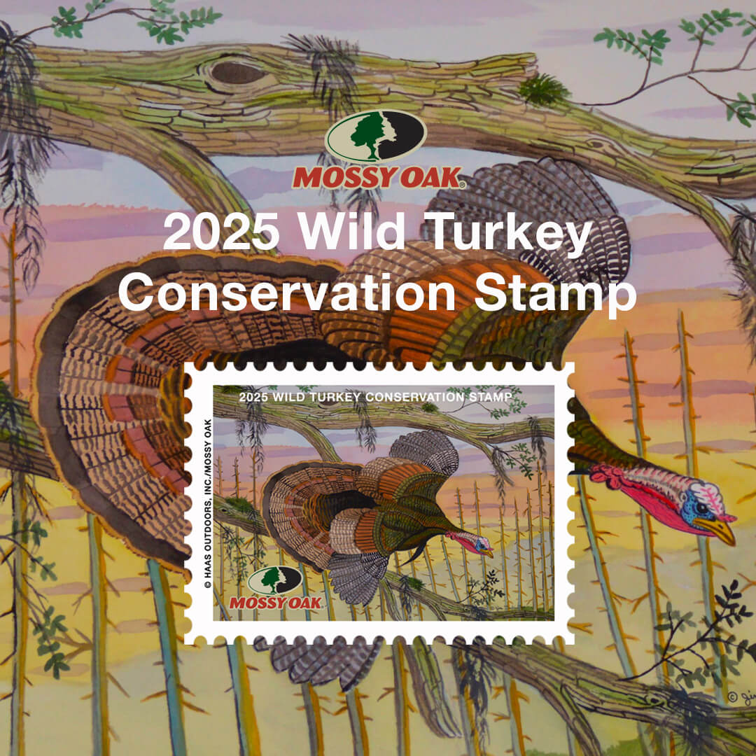 turkey stamp