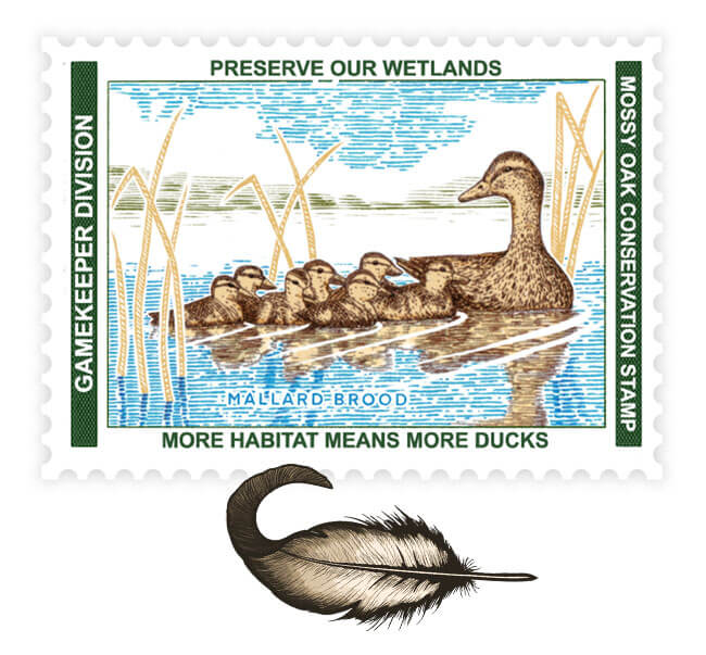 2025 Waterfowl Conservation Stamp