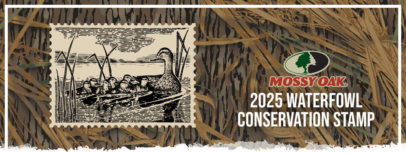 2025 Waterfowl Conservation Stamp