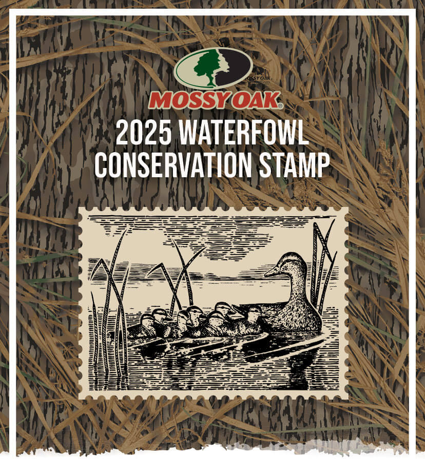 2025 Waterfowl Conservation Stamp