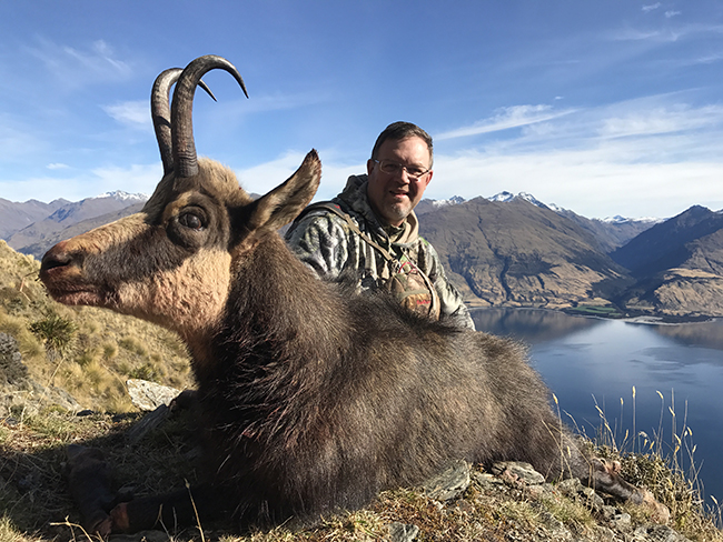New Zealand Chamois