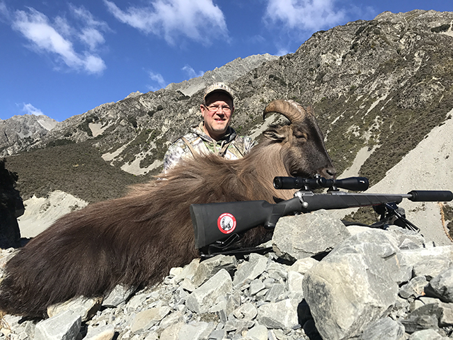 Himalayan tahr New Zealand