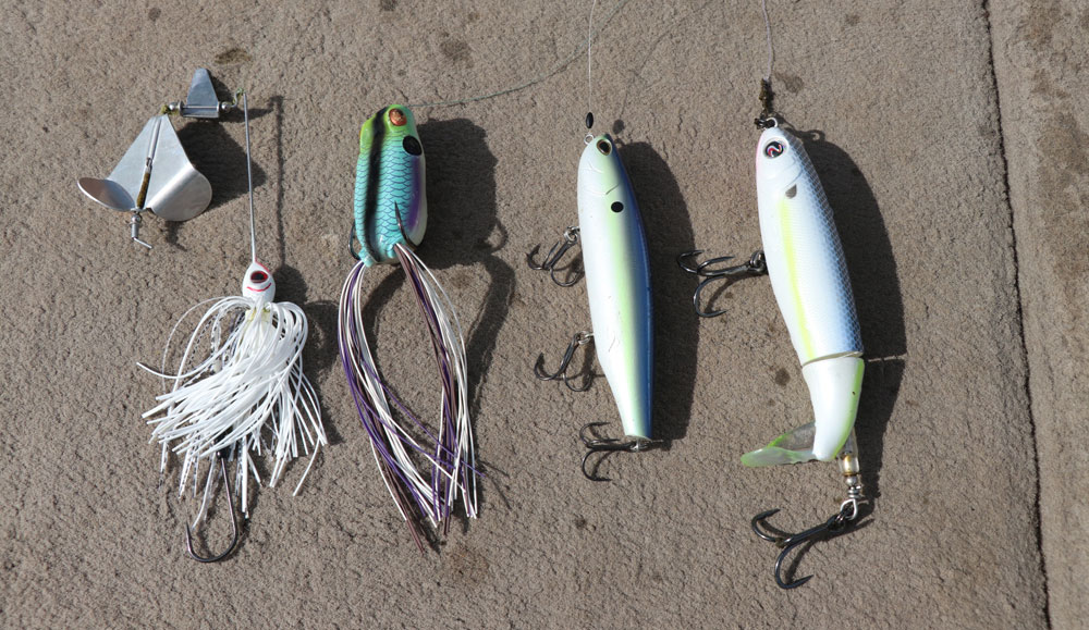 4 topwater bass baits for success