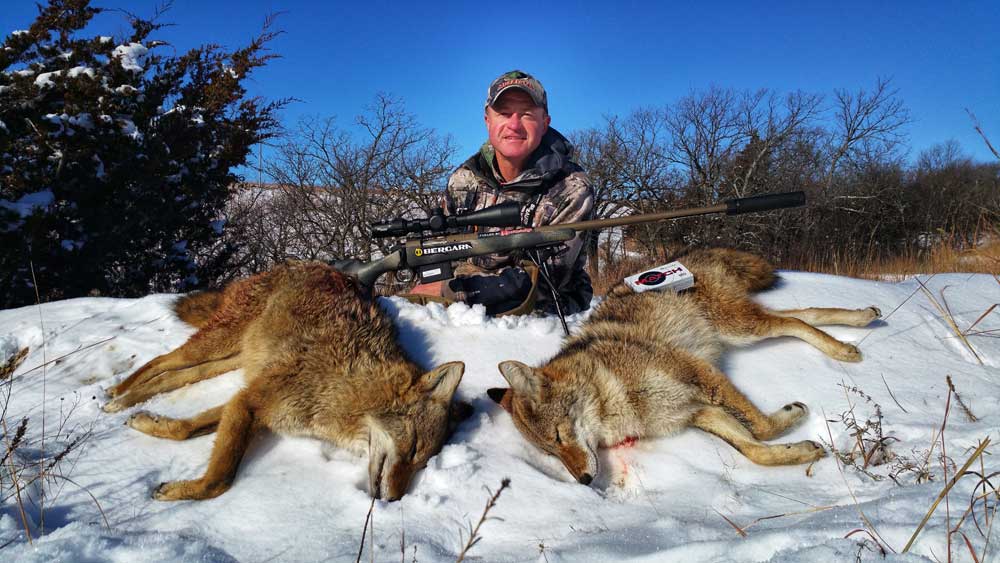deep snow coyotes Mark Kayser