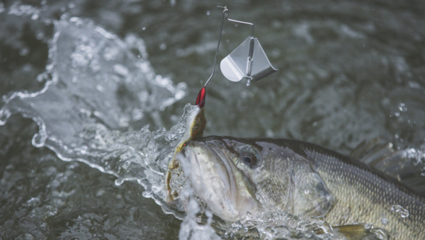 Behind The Scenes of Fish. Eat. Live. with Crappie Kirby - B'n'M Pole  Company